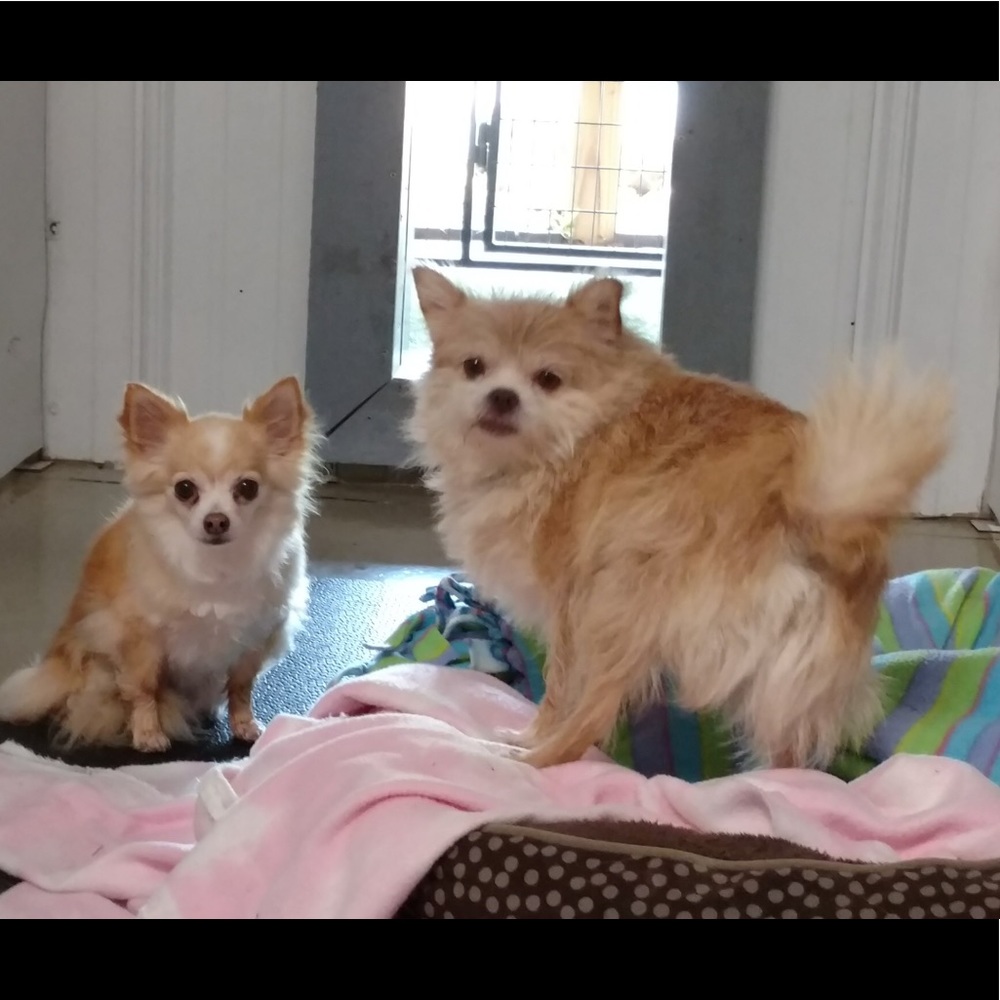 Meet your Posher, Lynn